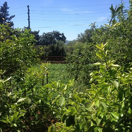 By The Sea Muline, - 12533 * Ugljan